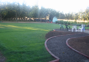 backyard3.JPG