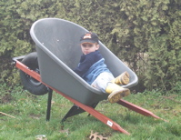 wheelbarrow.JPG